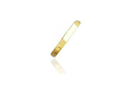 Gold Plated | Fashion Bangles
